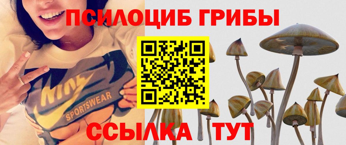 Псилоцибиновые грибы Magic Shrooms Томск