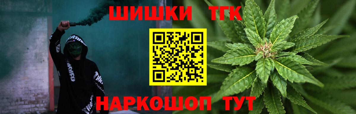 Каннабис сатива Томск